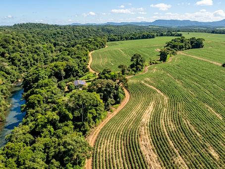 Vista aérea de alta resolução mostrando a coexistência equilibrada entre uma floresta nativa brasileira densa e preservada à esquerda, e uma vasta lavoura de soja em sistema de plantio direto à direita. A imagem captura a palhada residual cobrindo o solo entre as fileiras de soja verde em crescimento, separadas por uma estrada de terra sinuosa e uma borda irregular de vegetação nativa que se integra harmoniosamente com a área agrícola sob um céu ensolarado com nuvens leves.