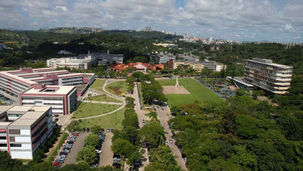 O Efeito UFMG: Como a Federal de Minas se Tornou a Maior Potência em Sustentabilidade da América do Sul