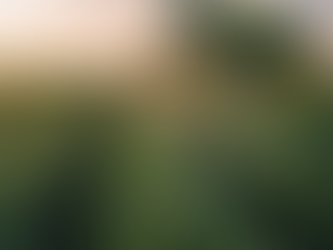 Uma fotografia de alta resolução mostrando um pulverizador moderno atuando em uma vasta lavoura de soja ao entardecer, com foco nas gotas do defensivo sendo aplicadas uniformemente sobre a cultura.