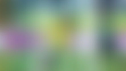 SHOW DA SELEÇÃO FEMININA: BRASIL ATROPELA ZÂMBIA POR 6 A 1 E SEGUE IMBATÍVEL NO FIFA SERIES