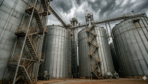 Silos da Morte: O Alerta Urgente sobre a Segurança no Armazenamento de Grãos no Brasil