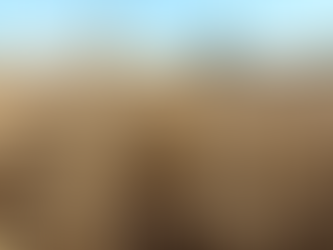 USDA Mantém Estimativas de Produção para Soja e Milho no Brasil em 2025/26