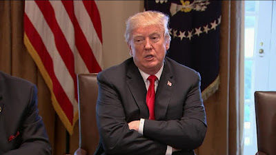Trump e o Futuro dos Acordos Globais: O Que o Agronegócio Precisa Saber