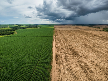O Desafio do Seguro Rural e a Adaptação Climática: O Novo Horizonte do Agronegócio Brasileiro