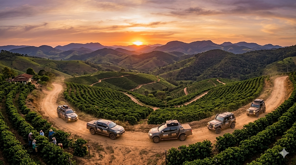 Uma fotografia panorâmica de um comboio de veículos 4x4 atravessando uma estrada de terra ladeada por cafezais e montanhas onduladas típicas da Zona da Mata mineira, com o pôr do sol ao fundo.