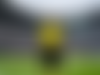 A Copa de 2026 Começou com Emoção e Rigor: O Dedo de Wilton Pereira Sampaio no Azteca
