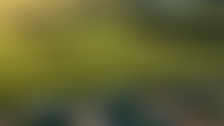 💰 Análise Financeira: Biogás e Biometano na Pecuária – Dejeto como Ativo Estratégico