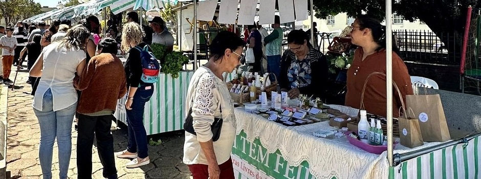 Vista panorâmica de feira da agricultura familiar em Minas Gerais com barracas coloridas e produtos frescos expostos