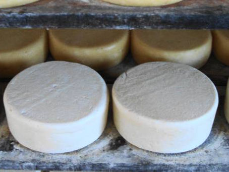 A Ciência do Queijo: como as pesquisas moldam nossos sabores favoritos