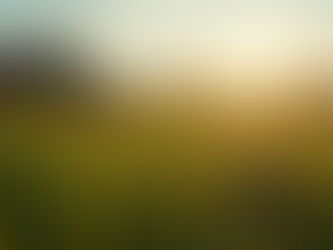 Certificações Ambientais no Agronegócio: O Que Todo Profissional Precisa Saber