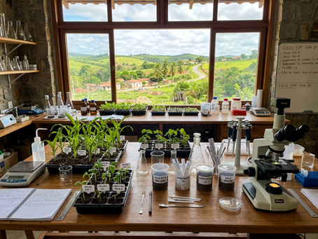 MEC vai construir novo prédio para laboratórios da UFPE e impulsionar pesquisa no agro