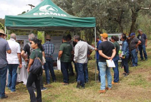 Azeitech 2025 reúne palestras, estações de campo e debate técnico