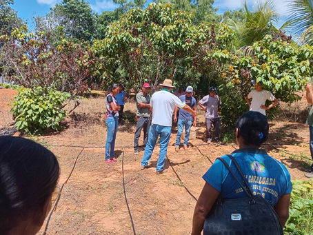 Kits de Irrigação em Verdelândia: Transformação Tecnológica e Salto na Produção de Hortaliças no Norte de Minas