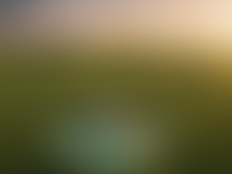 🐂 AgTech em Pastagens vs. Intensificação: Otimização do Custo de Produção da Carne