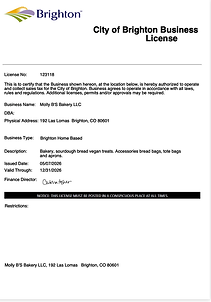 Business License for Brighton, CO