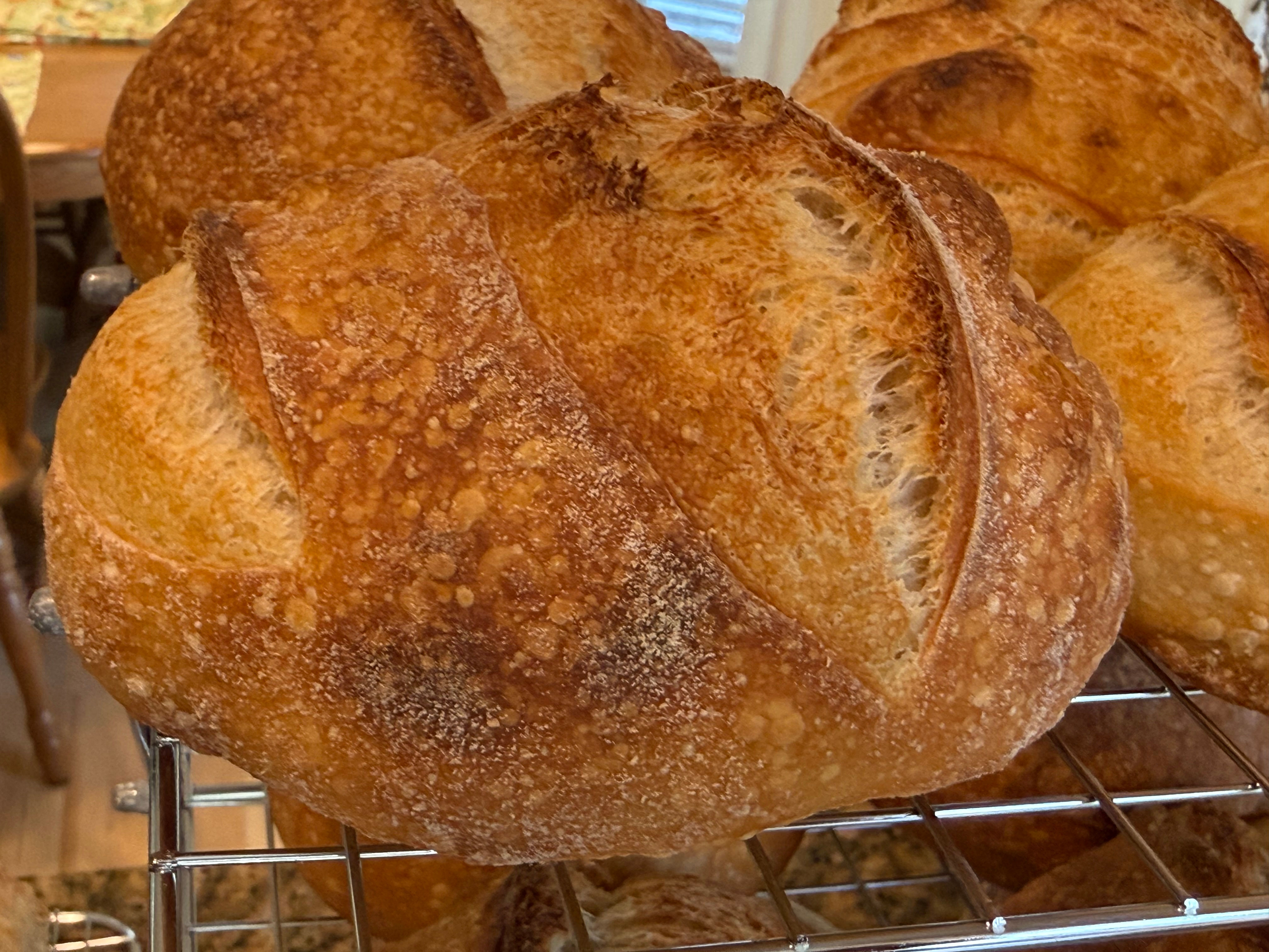 Small Sourdough Boules 4 Pack