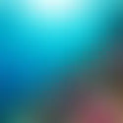 Exploring the Hidden Patterns in Coral Reef Energy Pyramids