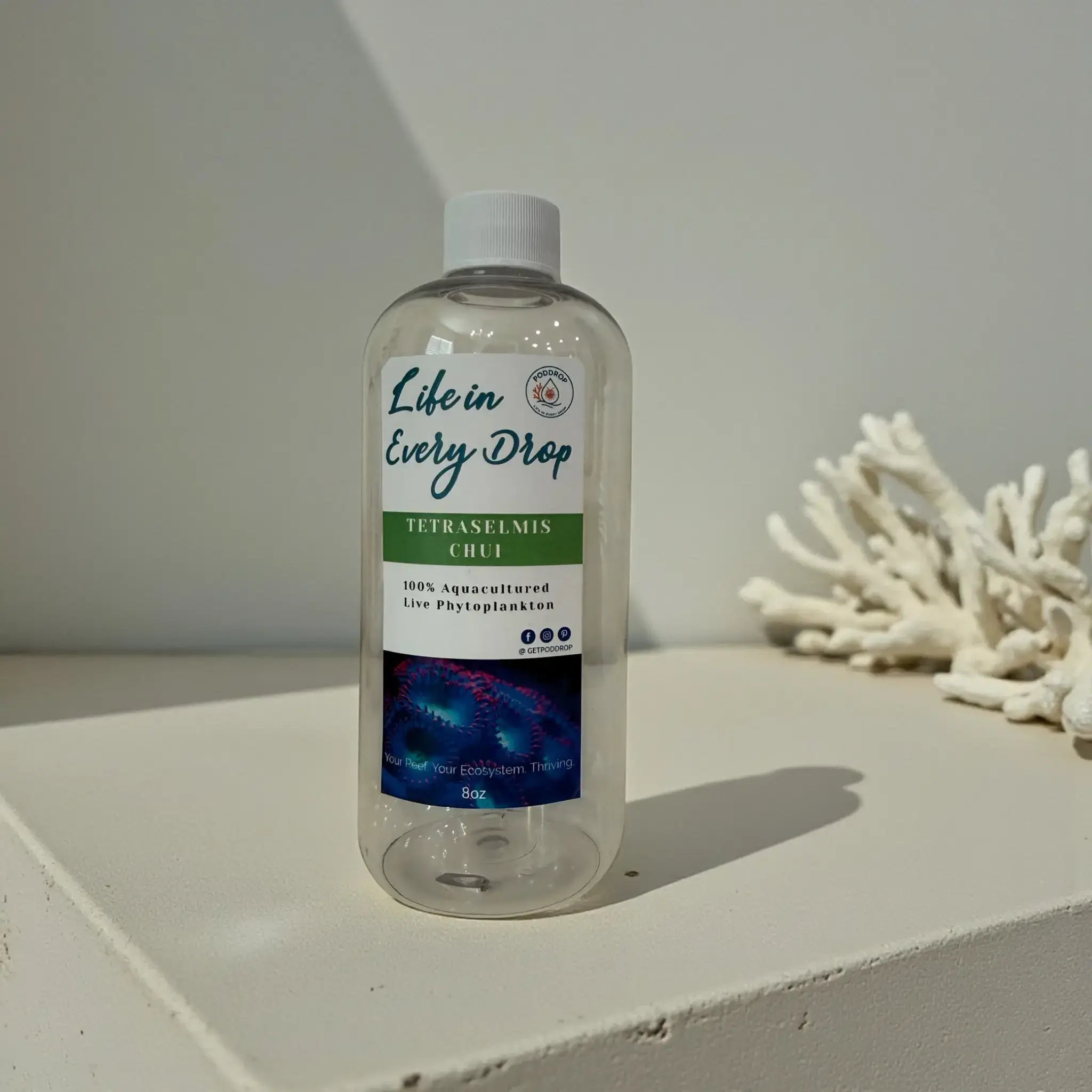 PODDROP Tetraselmis chui Live Phytoplankton