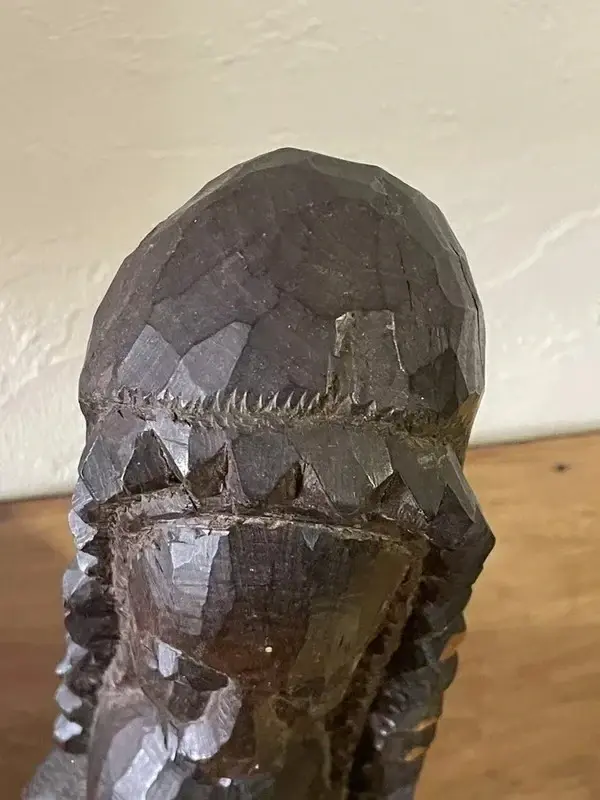 Sculpture africaine primitive double tête en bois d’ébène – 30 cm