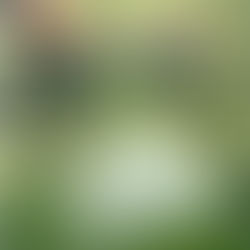 鎌倉湖畔コーラスコンサートのお知らせ♪