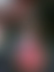 Coup de Cœur Musical "Intentionnel" de Simone Ringer