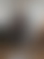 Camiel Fortgens AH26 : L'intimité domestique comme nouvelle armure urbaine