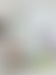 La Jeanne D’Arc moderne et décalée de Florentina Leitner