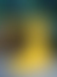 Un Voyage Sous-Marin au Défilé de Celia Kritharioti collection haute couture printemps-été 2024