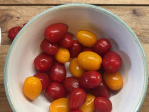 Beeswax Wraps! A plastic free alternative?