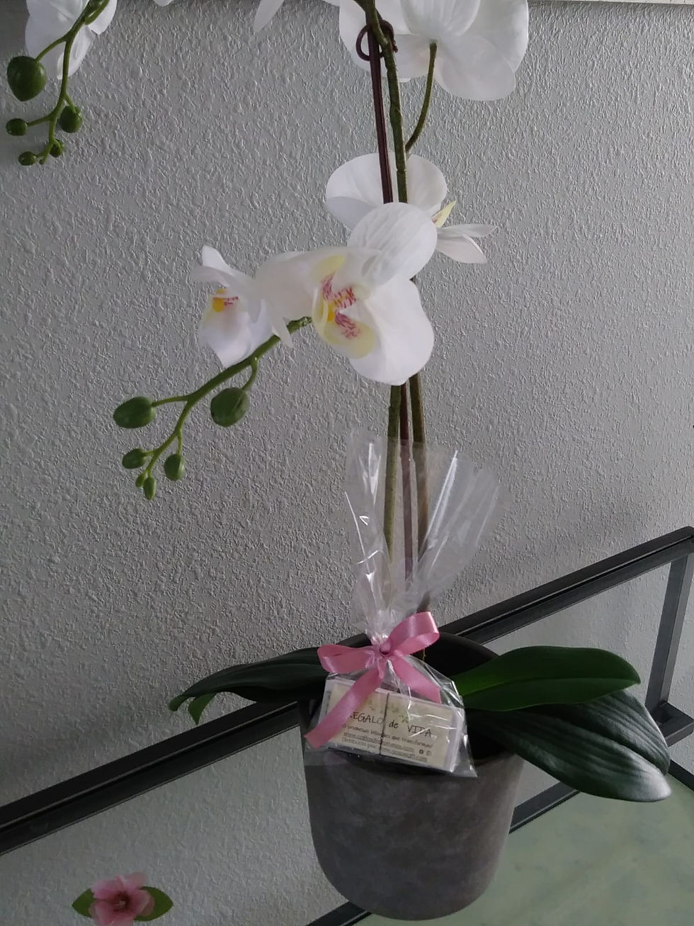 Miniatura: set 60 versiculos biblicos, REGALO DE VIDA