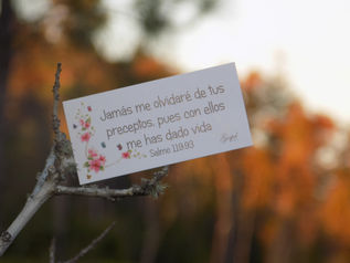 Día 53: Jamás me olvidaré de tus preceptos, pues con ellos me has dado vida. Salmo 119:93