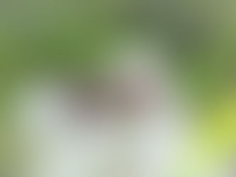 Día 4: Pon en manos el Señor todas tus obras y tus proyectos se cumplirán Proverbios 16:3