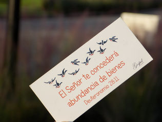 Día 42: El Señor te concederá abundancia de bienes.
Deuteronomio 28:11