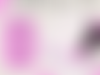 MUJER SABIA, DIA 15: PRIORIDADES EN ORDEN