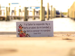 Día 43: Y el Señor respondió:Voy a darte pruebas de mi bondad y te daré a
mi nombre. Ex33:19