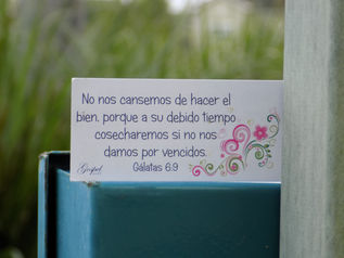 Día 22: No nos cansemos de hacer el bien, porque a su debido tiempo cosecharemos. Gálatas 6:9