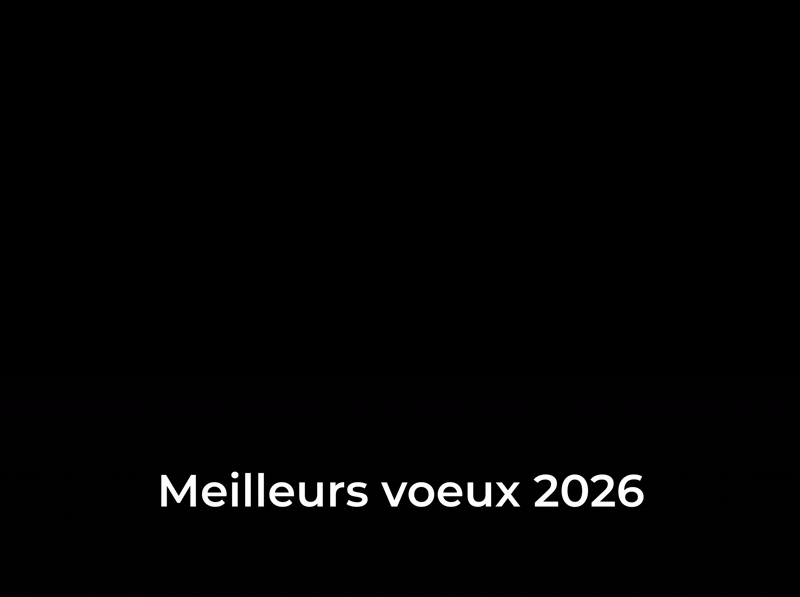 Enregistrement de l’écran 2025-12-22 à 11.48.50 (1).gif