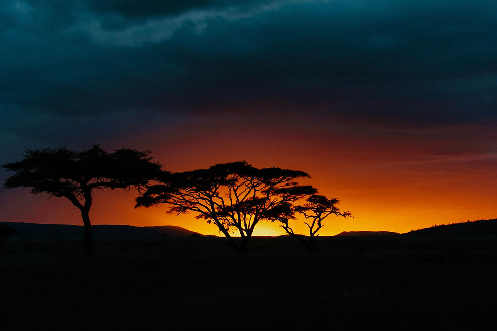 Equatorial Guinea ORTEL Compliance: Check This Low-Power Exemption First