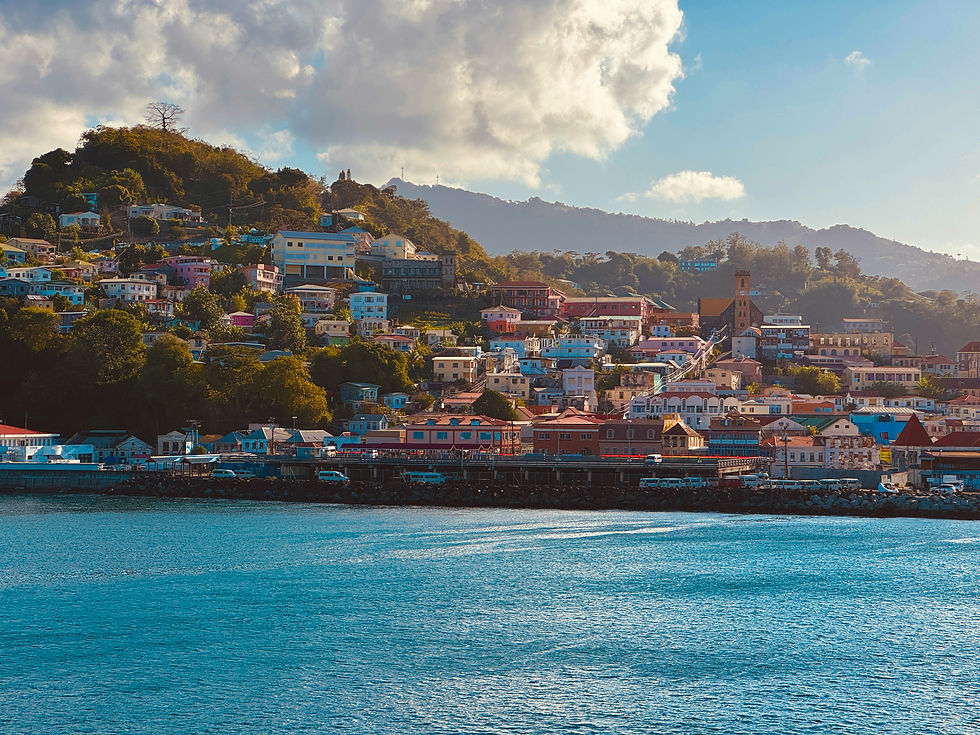 Entering the Grenadian Market? Understand Grenada NTRC Type Approval Before Launch