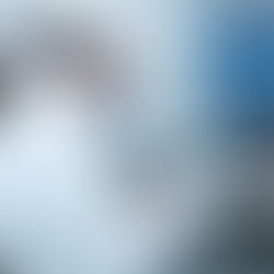 Authorised Engineer at work