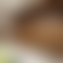 化瘤散 消结汤精医结节瘤囊肿癌症