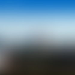 RBC资深房屋贷款专家 锺翠珊 Sandra Chung