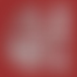 密市修车 大陆华人首家 德馨汽修(始于2003