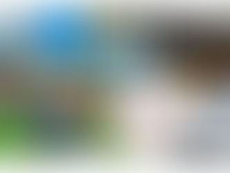 August 2021 Featured Jacksonville Events