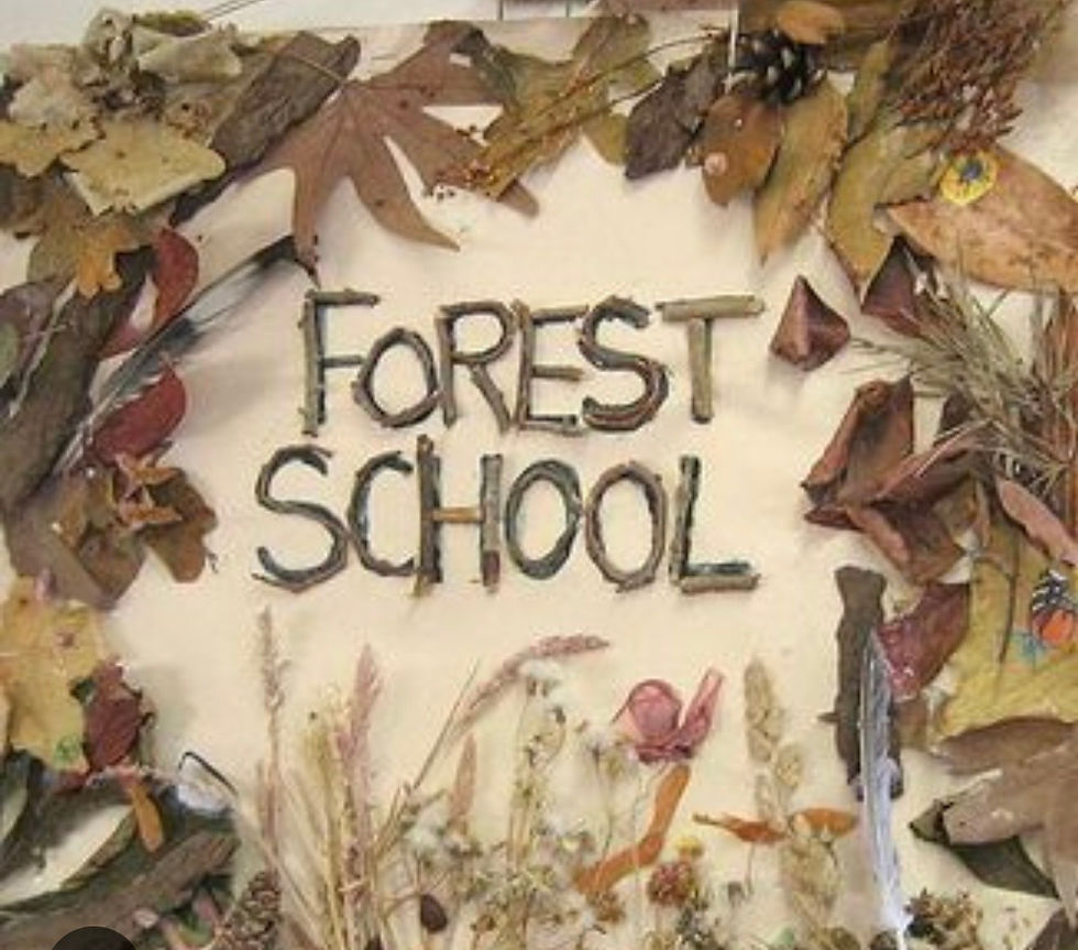 Explore Our Unique Forest School 