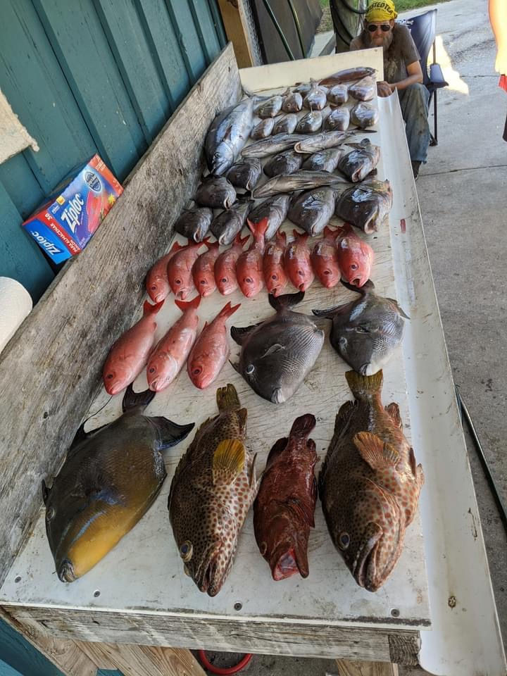 Welcome to The Reel Myrtle Beach Fishing Charters Update!