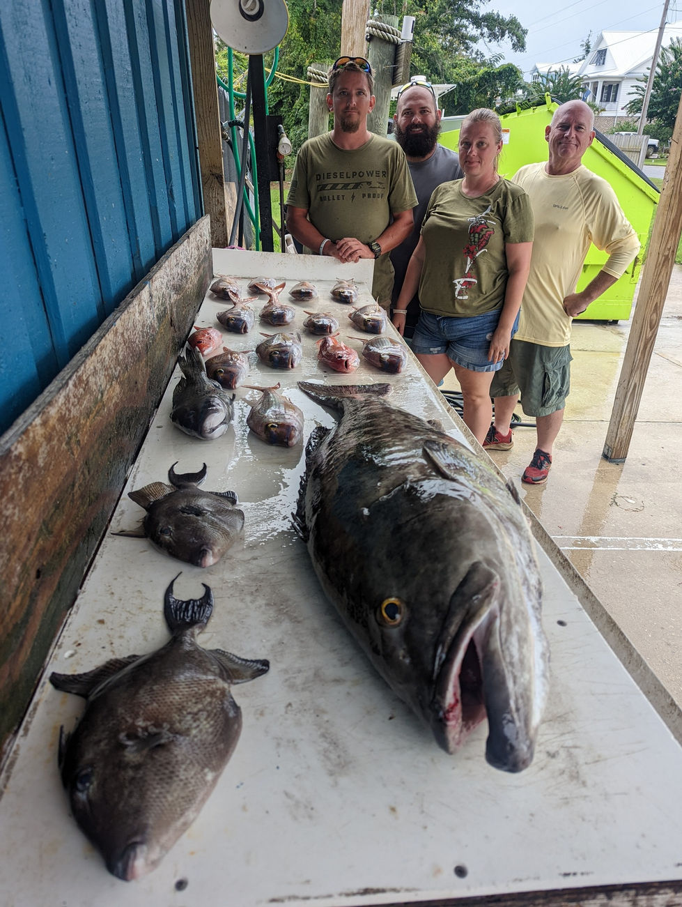 snapper, grouper, trigger fish caught offshore with Reel Myrtle Beach Fishing