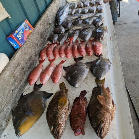 snapper, grouper, trigger fish caught offshore with Reel Myrtle Beach Fishing