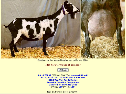 keno's sire's dam.png