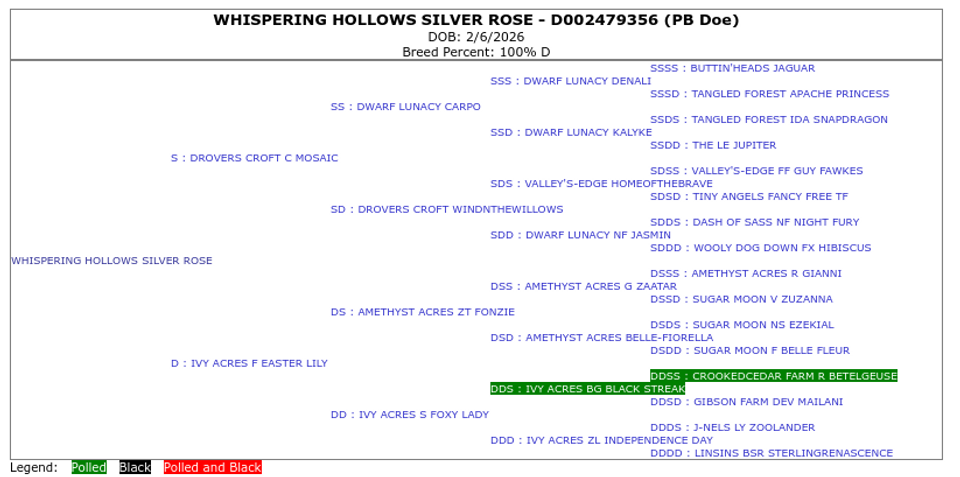 Rosie's pedigree.png